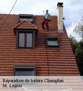Réparation de toiture  champlan-91160 M. Legras
