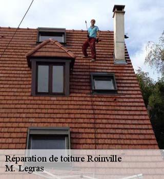 Réparation de toiture  roinville-91410 M. Legras