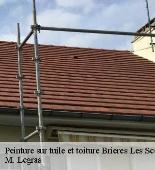 Peinture sur tuile et toiture  brieres-les-scelles-91150 M. Legras