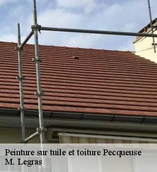 Peinture sur tuile et toiture  pecqueuse-91470 M. Legras