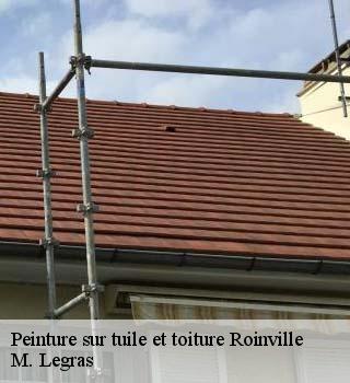 Peinture sur tuile et toiture  roinville-91410 M. Legras