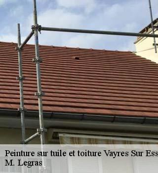 Peinture sur tuile et toiture  vayres-sur-essonne-91820 M. Legras