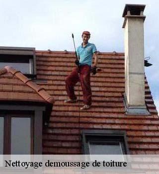 Nettoyage demoussage de toiture  angerville-91670 M. Legras