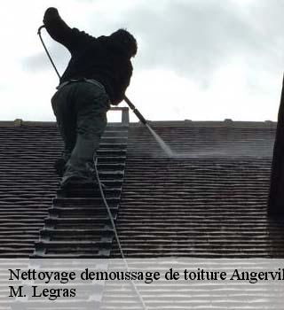 Nettoyage demoussage de toiture  angervilliers-91470 M. Legras